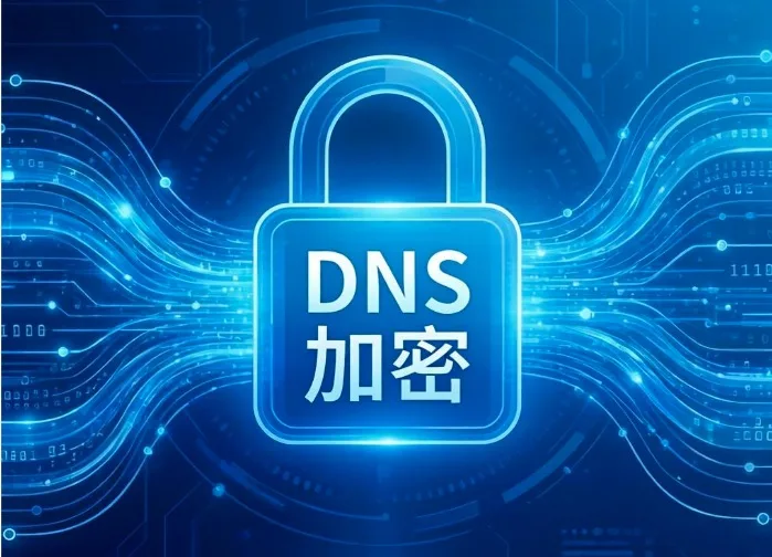 DNS加密
