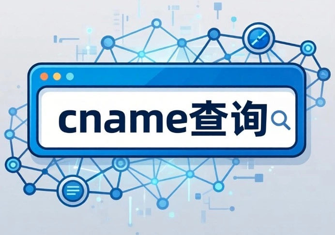 cname查询