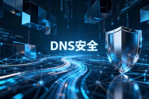 DNS安全