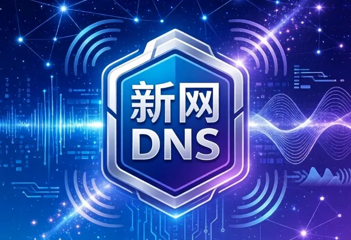 新网DNS