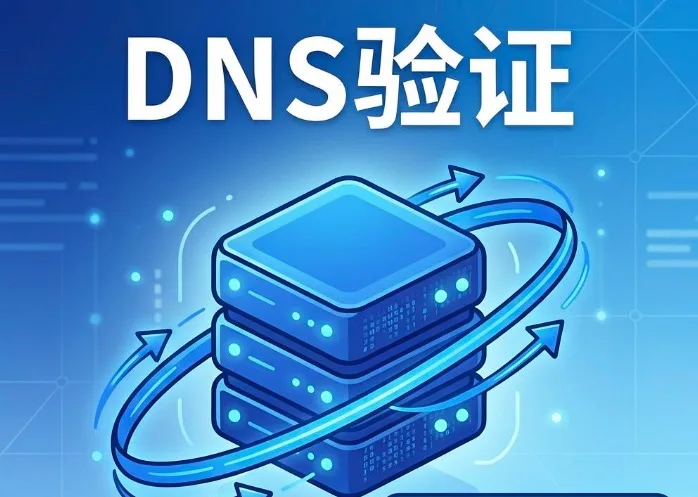 DNS验证
