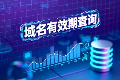域名有效期查询