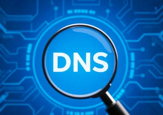 DNS查询