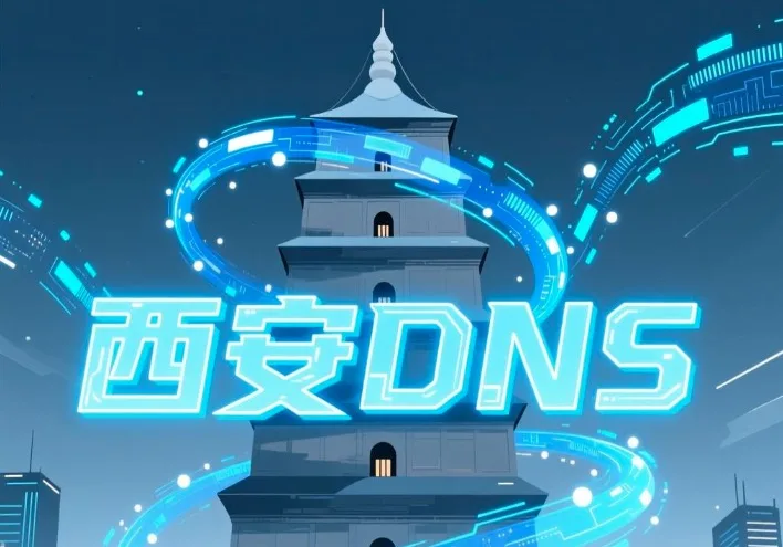 西安DNS