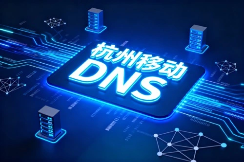 浙江DNS