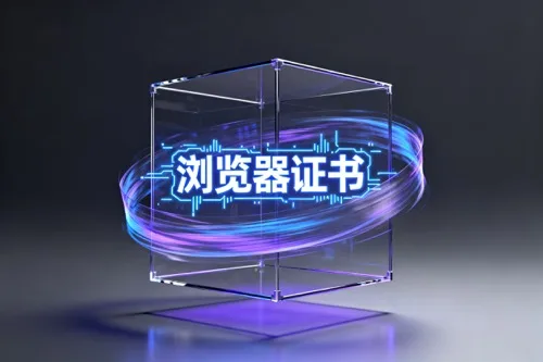 浏览器证书