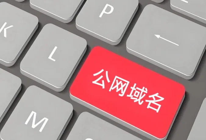 公网域名