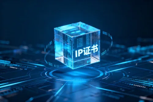 IP证书