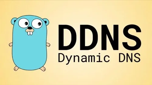 ddns和dns的区别