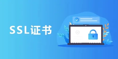 域名证书到期