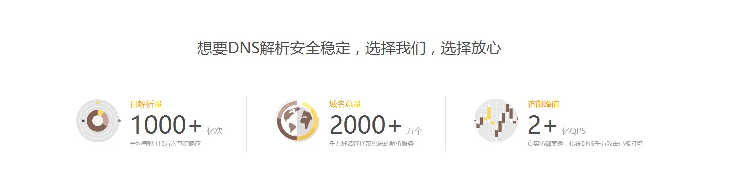 1 DNS行业领军