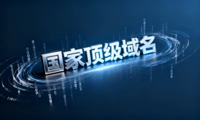 国家顶级域名