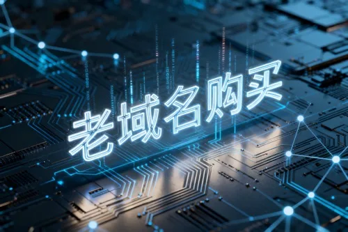 老域名购买