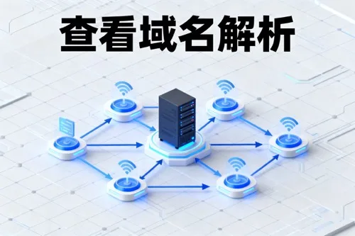 查看域名解析
