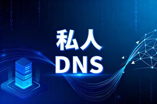 私人DNS
