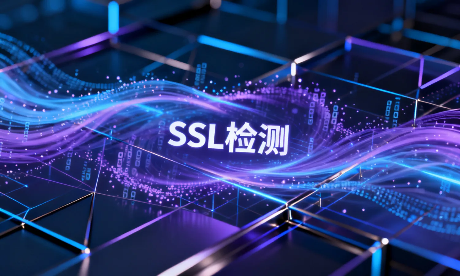 SSL检测