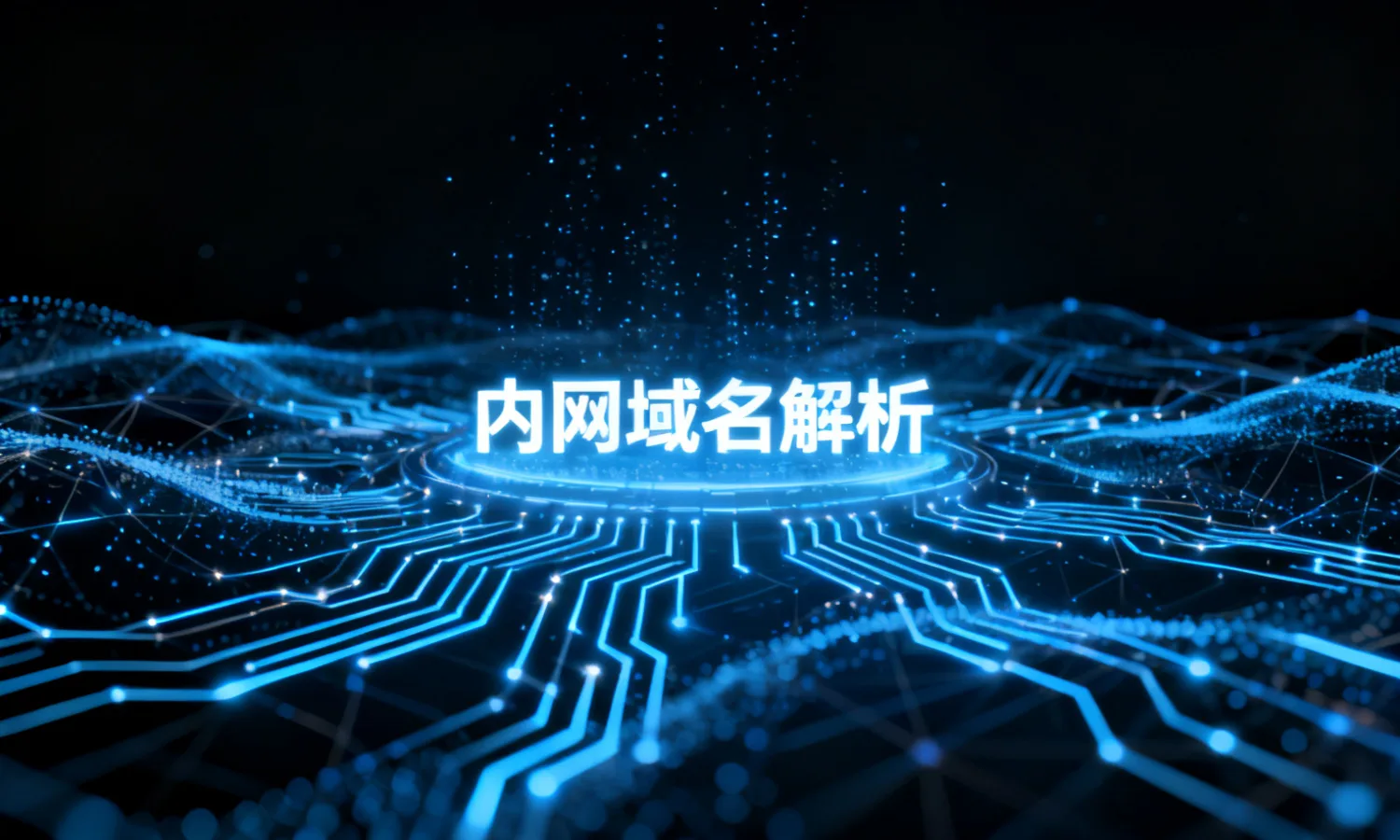 内网域名解析