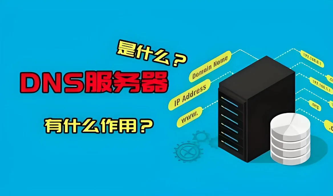 DNS服务器地址