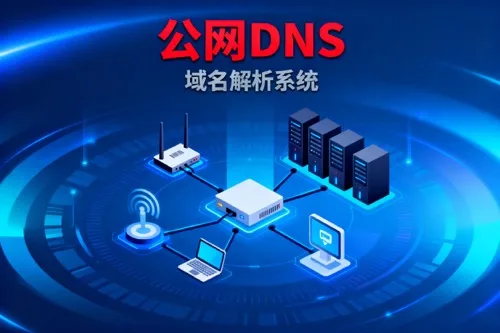 公网DNS,运营商DNS
