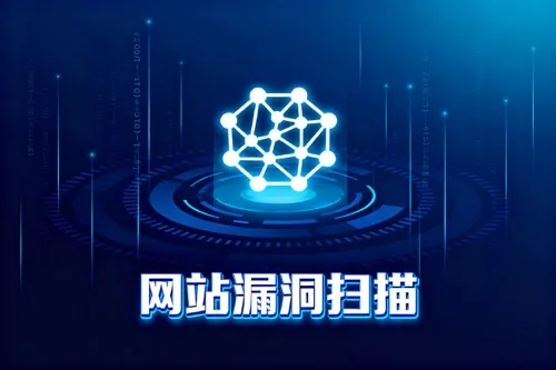 网站漏洞扫描
