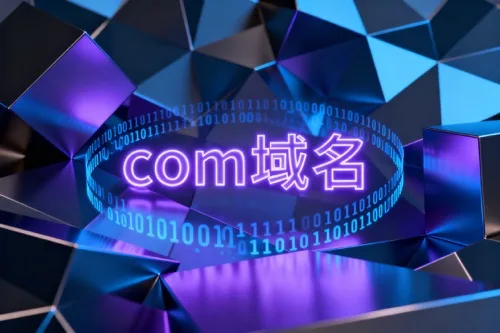 com域名