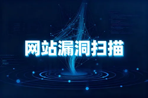 网站漏洞扫描