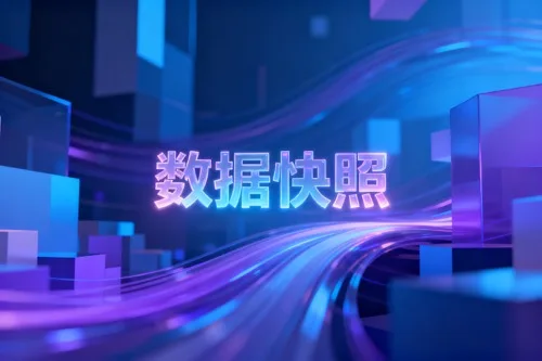 数据快照