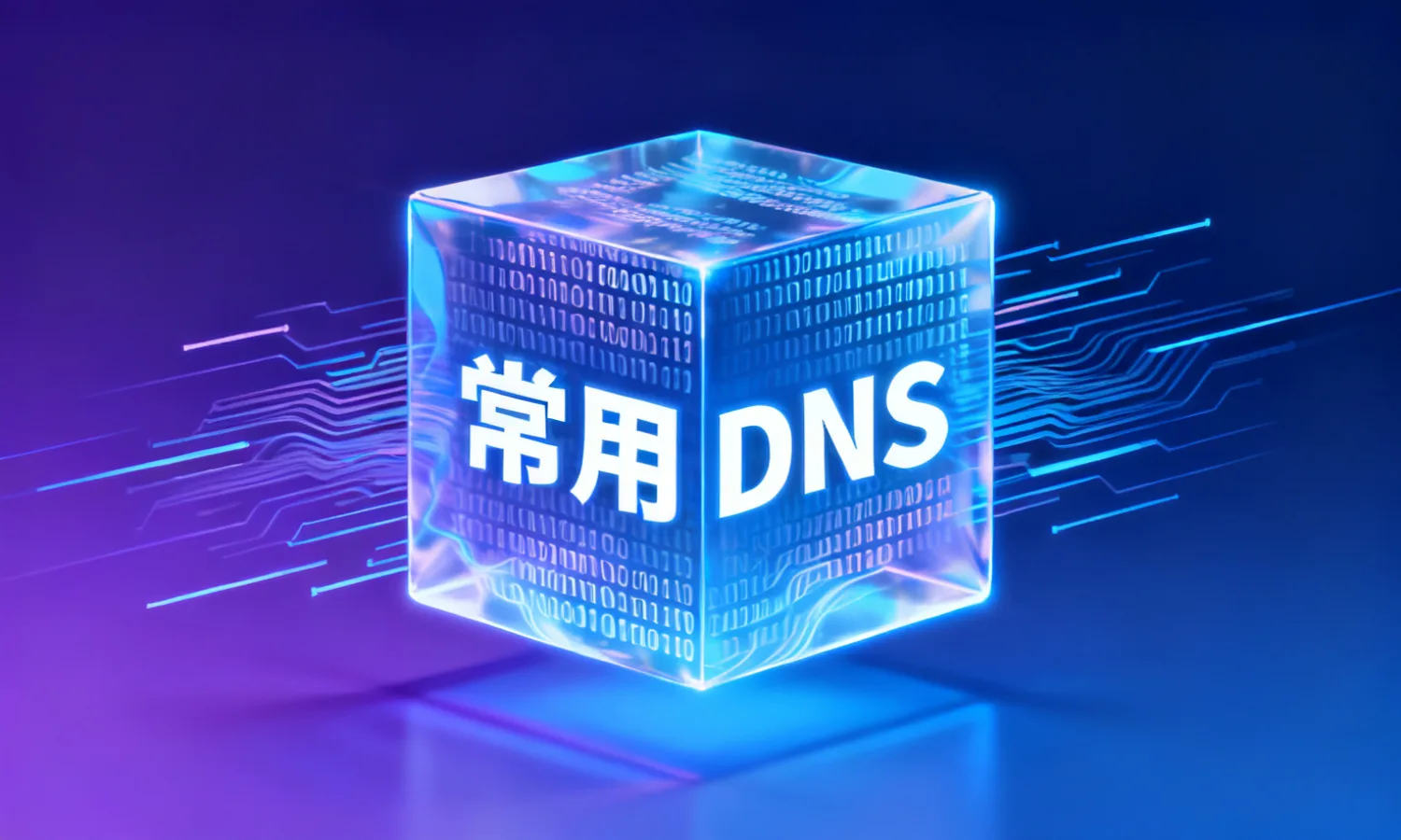 常用DNS