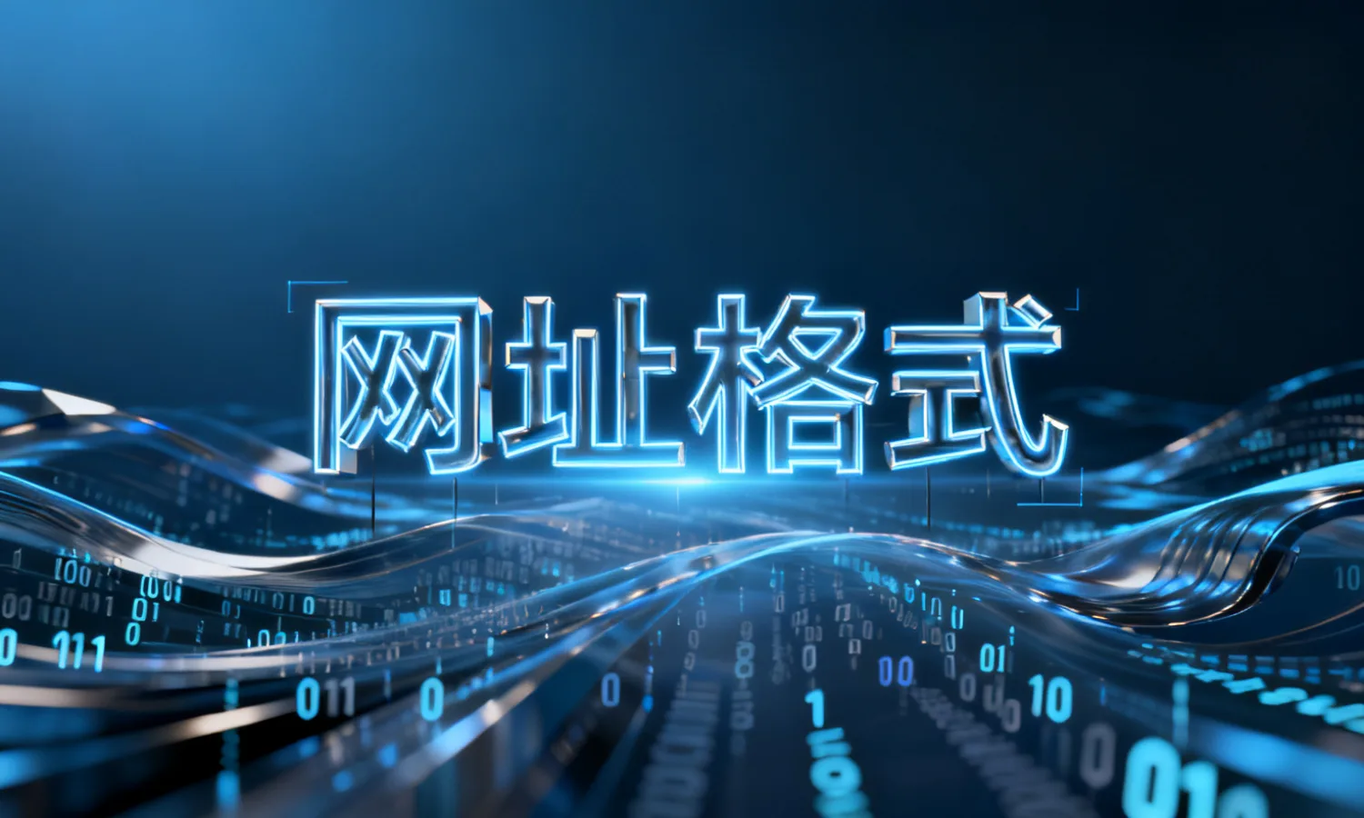 网址格式