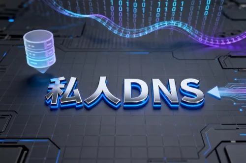 私人DNS