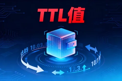 TTL值