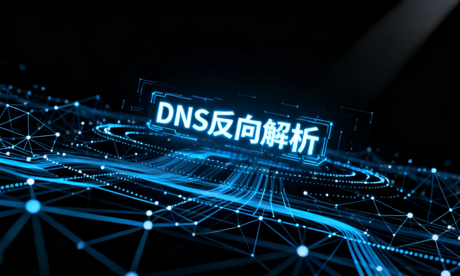 DNS反向解析