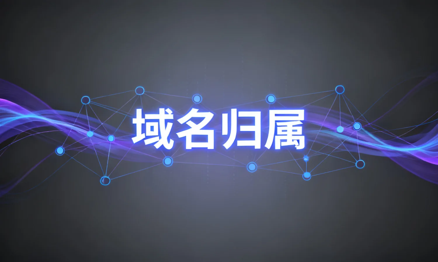 域名归属