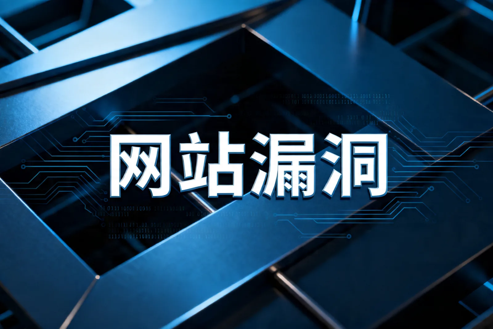 网站漏洞