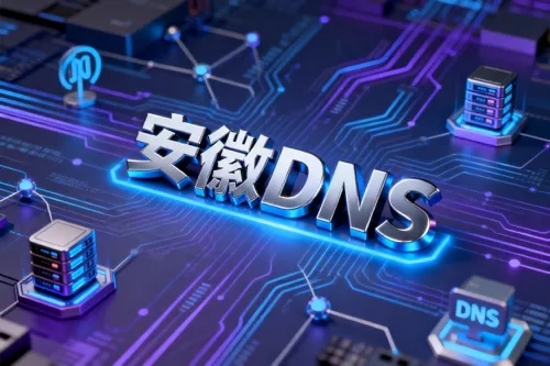 安徽DNS