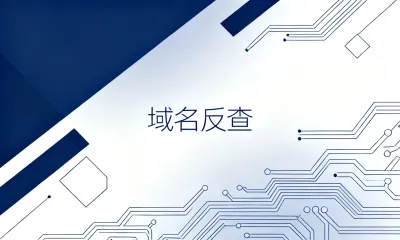 域名反查