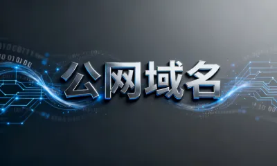 公网域名