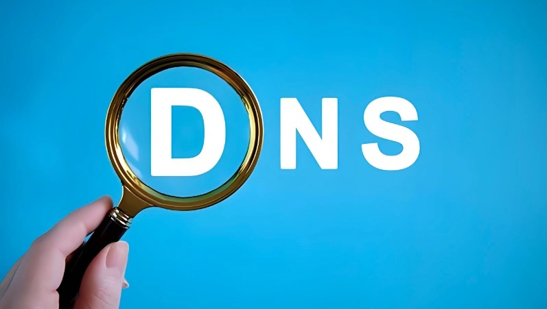 权威DNS