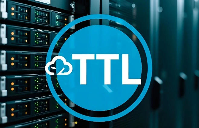 TTL值