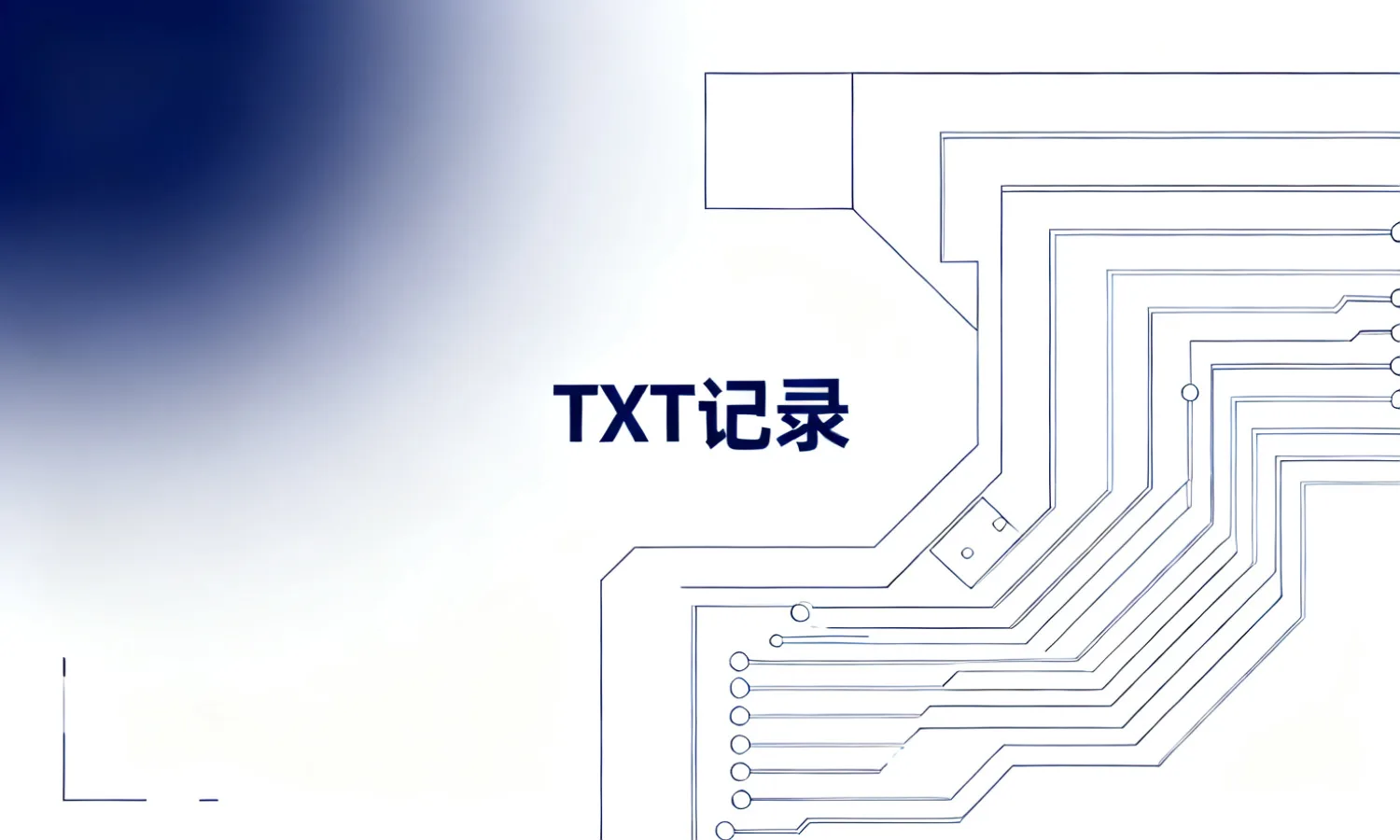 TXT 记录