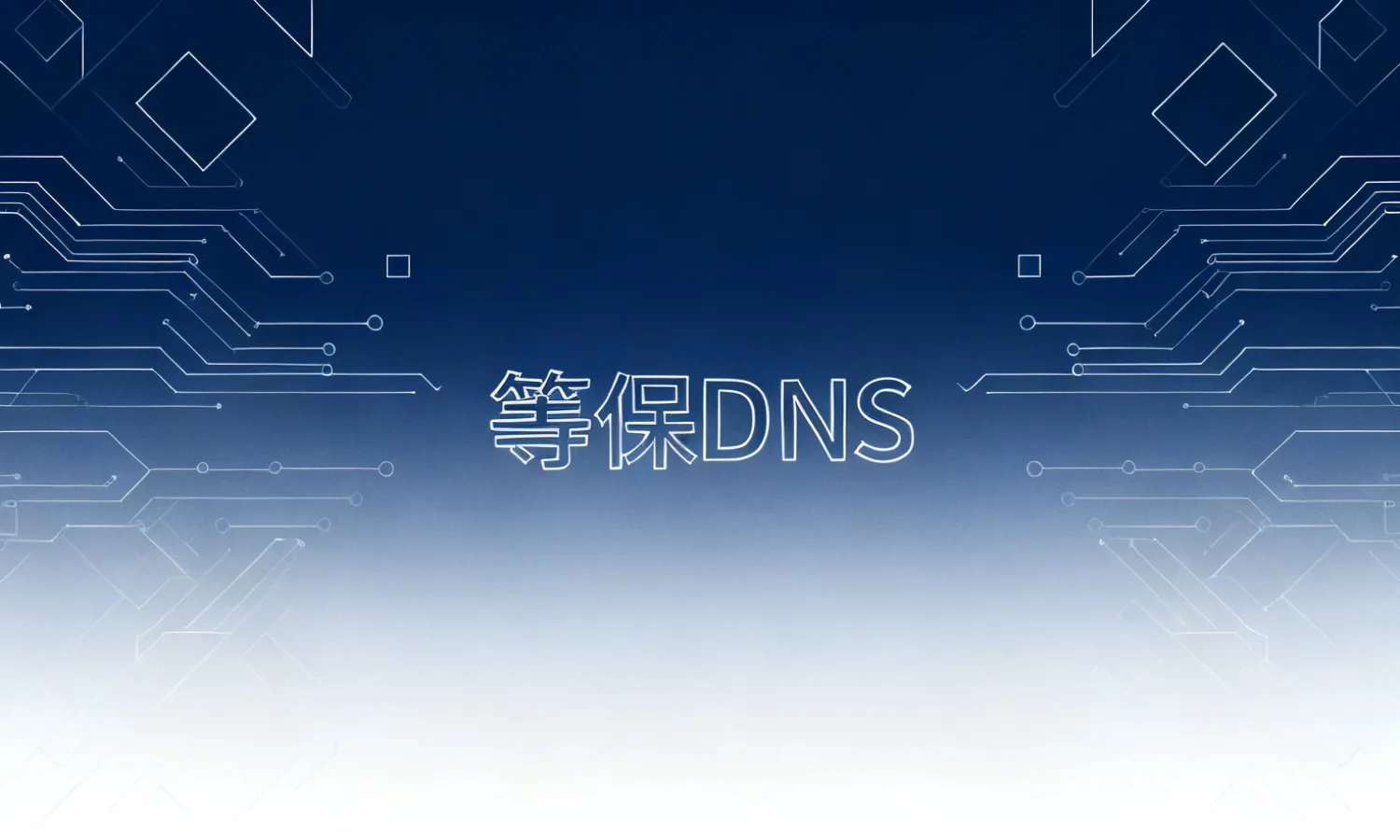等保DNS