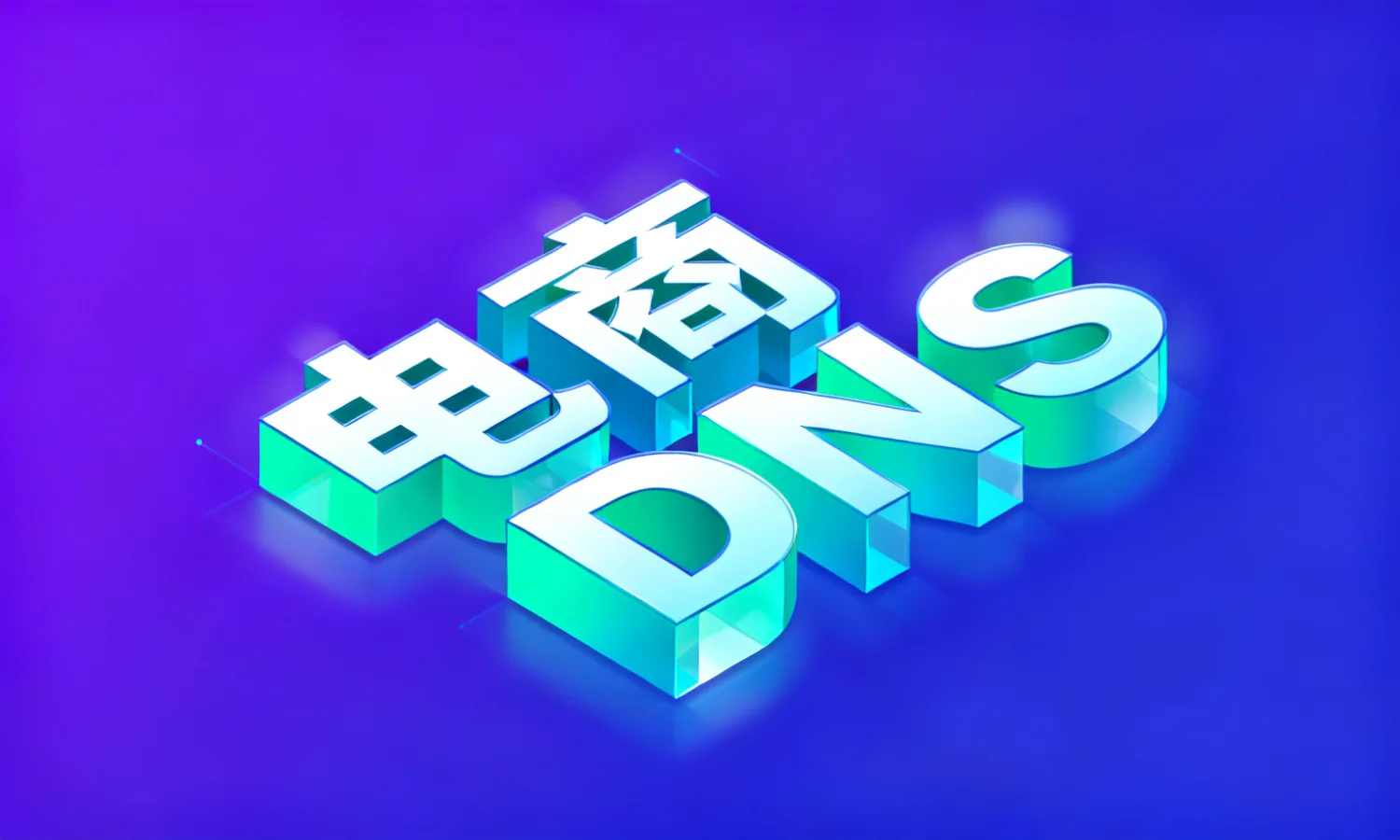 电商DNS