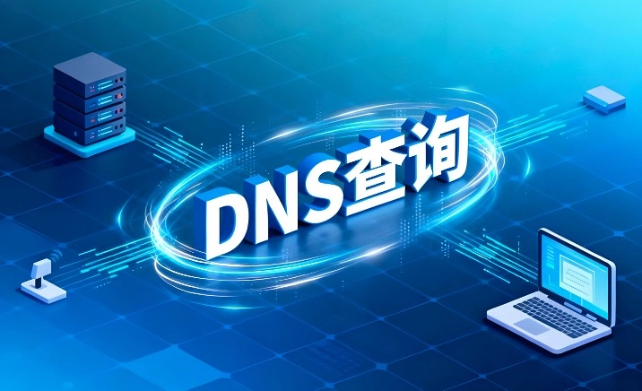 DNS查询