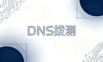 DNS拨测