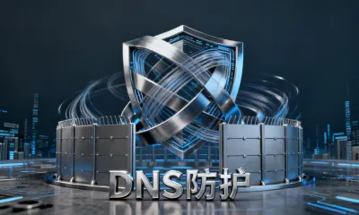 DNS防护