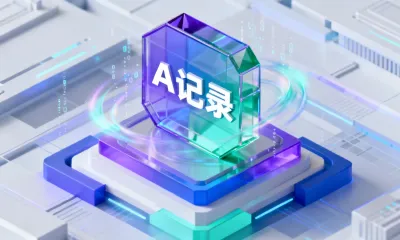 A 记录