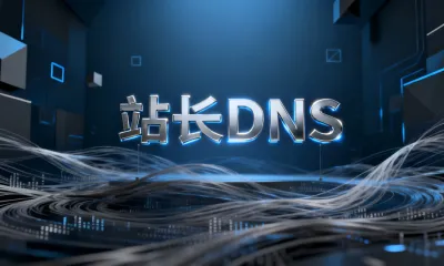 站长DNS