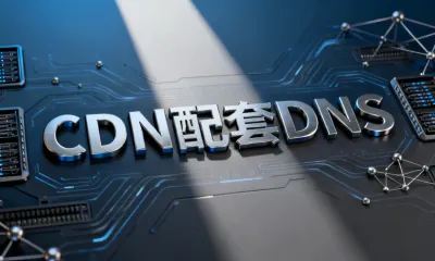 CDN配套DNS