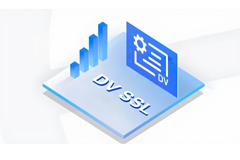 DV证书