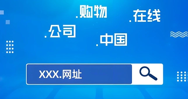 中文域名